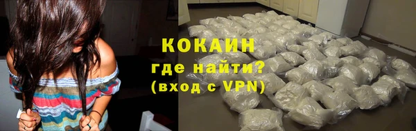 прущие грибы Балахна