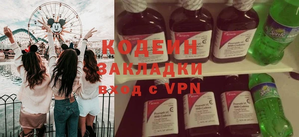 прущие грибы Балахна